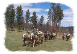 Thunder Mountain Tours - Wyarno, Wyoming